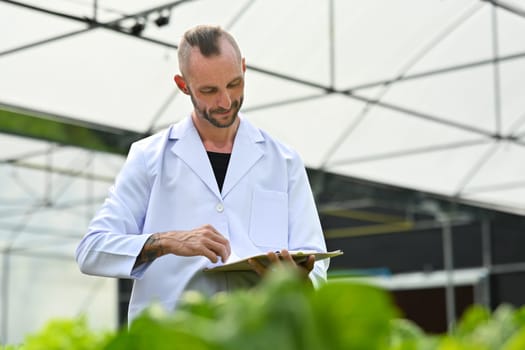 Caucasian male agricultural researcher holding clipboard, supervising organic vegetable in greenhouse.