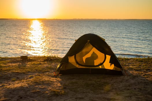 Woman and dog in a tourist tent at sunset. Camping with a pet.