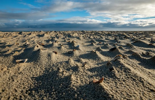 a closeup of the beach with shells and lots of little hills caused by the wind photographed on the island of Texel in the Netherlands with the sea in the background