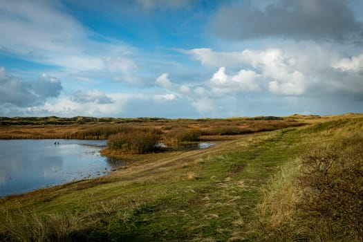 a freshwater lake in the dunes of the island of Texel with marram grass in the foreground and the dunes and sky in the background