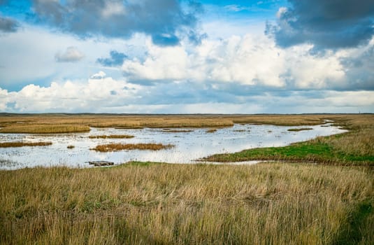 dune valley the Slufter of national park on West Frisian Waddensea island Texel, North Holland, Netherlands