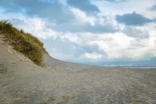 entrance to the beach of texel with at the left a dune and the sea and horizon as background