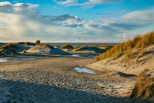 the rugged De Horst nature reserve on the island of Texel with sand dunes, marram grass and water on a sunny winter day