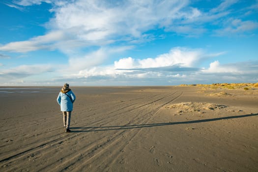 adult woman in winter coat walking at the rugged De Horst nature reserve on the island of Texel with sand dunes, marram grass and water on a sunny winter day