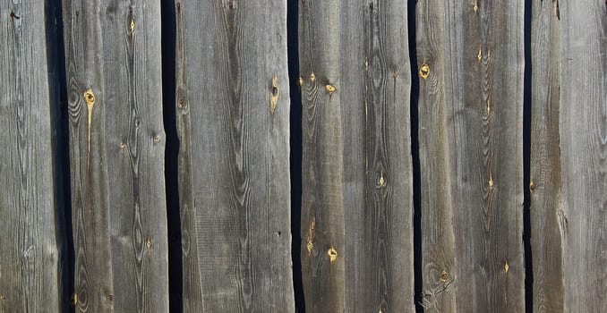 Gray wood paneling of the barn walls with a wide texture. Old solid wood slats on a rustic shabby gray background.Old vintage background with wood texture