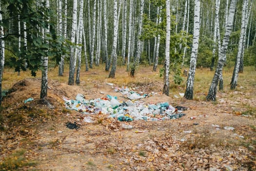 Garbage dump, trash in birch grove. Nature polluted, activities of irresponsible people. High quality photo