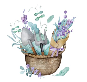 Beautiful lavender provence bouquet in basket with green pies sprouts and garden scapula watercolor illustration. Purple blossom flower composition aquarelle drawing