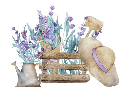 Beautiful lavender provence bouquet in wooden box, garden hat and watering can watercolor illustration. Purple blossom flower aquarelle drawing
