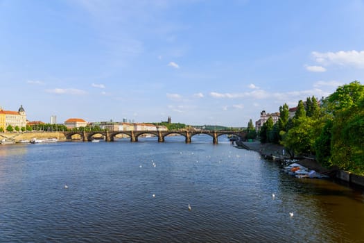 22 May 2022 Prague, Czech Republic. White swans in the background of the transport city in the Czech Republic - the oldest bridge over the Vltava River in the Czech capital Prague.