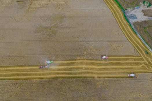 Combine harvesters harvest wheat, Wheat is poured into a tractor trailer. Summer wheat harvest. View from above, export of grain.