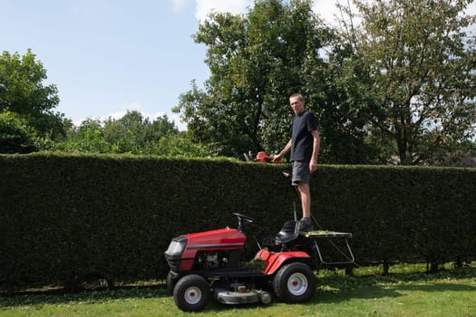A gardener or worker uses stands to cut petrol hedge trimmers while standing on a tractor mower instead of a ladder, high quality photo. High quality photo