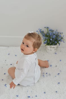 Small girl sits on a white background with a vase with forget-me-nots