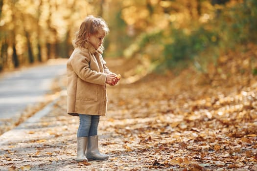 Little girl enjoying walk in the autumn park.