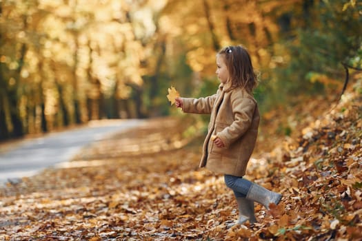 Little girl enjoying walk in the autumn park.