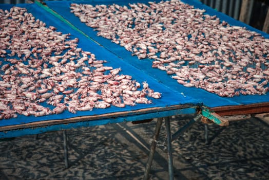 Dried sea squid or octopus premium grade is a seafood and food preservation prepared traditional food for sale at Thai street food market or restaurant in Bangkok Thailand