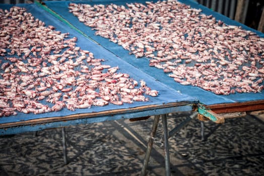 Dried sea squid or octopus premium grade is a seafood and food preservation prepared traditional food for sale at Thai street food market or restaurant in Bangkok Thailand