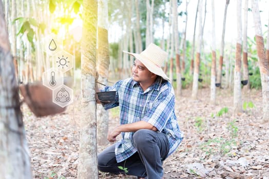 Smart farm digital icon and futuristic AI data infographic of Farmer agriculturist happy at rubber tree plantation with Rubber tree is agriculture harvesting natural rubber for industry in Thailand