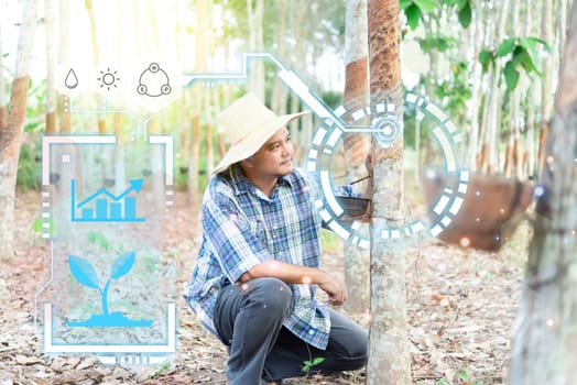 Smart farm digital icon and futuristic AI data infographic of Farmer agriculturist happy at rubber tree plantation with Rubber tree is agriculture harvesting natural rubber for industry in Thailand