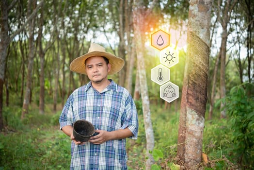 Smart farm digital icon and futuristic AI data infographic of Farmer agriculturist unhappy low yield productivity at rubber tree plantation is agriculture harvesting natural rubber industry Thailand