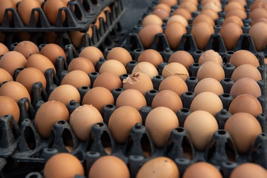 Fresh eggs products for sale in supermarket open daily. Egg prices in Thailand can be an indicator of the economic of Thailand.