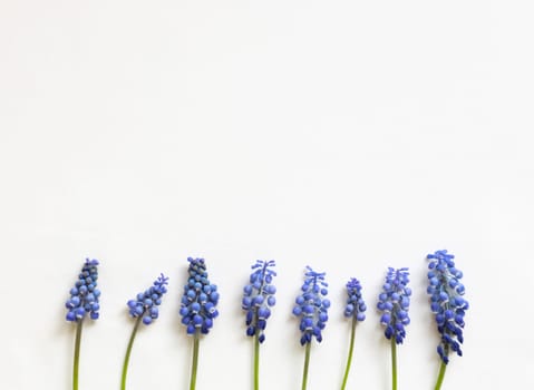 Frame of blue spring flowers. Flat lay. Close-up. Empty space for inspirational texts, beautiful quotes or positive sayings