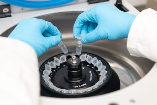 Laboratory worker puts chemical tubes into the centrifuge. Biochemistry and research laboratory concept. DNA and pharmaceutical analysis.