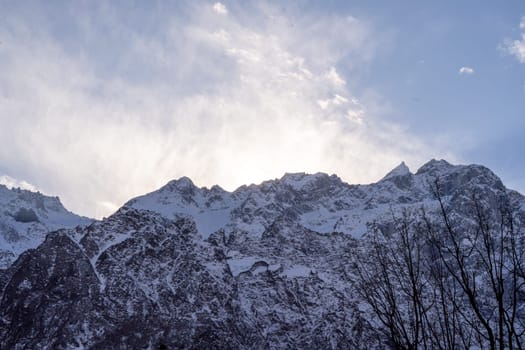 snow covered himalaya mountains with coniferous trees in front and a blue snowy sky showing manali, lahaul, spiti and leh tourist place in India