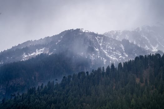 fog mist rolling over tree covered mountains in the foreground and snow capped peak in the background in manali himachal pradesh In India