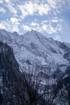 snow covered mountains with dead tree branches in the foreground topped with cottony clouds in spiti, lahul, leh ladakh in India