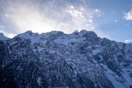 snow covered himalaya mountains with coniferous trees in front and a blue snowy sky showing manali, lahaul, spiti and leh tourist place in India