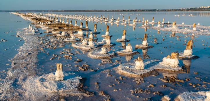 Salt crystals on wooden pillars of an old 18th century salt industry. The ecological problem is drought.  Drying Kuyalnik estuary. 