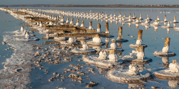 Salt crystals on wooden pillars of an old 18th century salt industry. The ecological problem is drought.  Drying Kuyalnik estuary. 