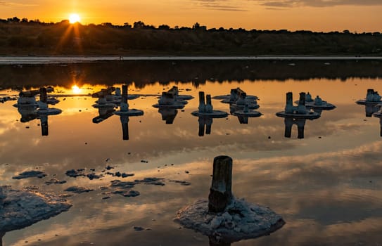 Salt crystals on wooden pillars of an old 18th century salt industry. The ecological problem is drought.  Drying Kuyalnik estuary. 