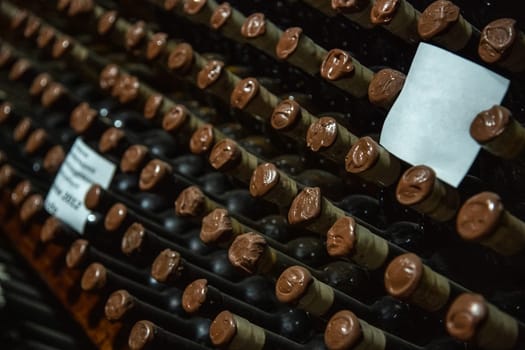 A closeup of a wine cellar. Concept of winemaking