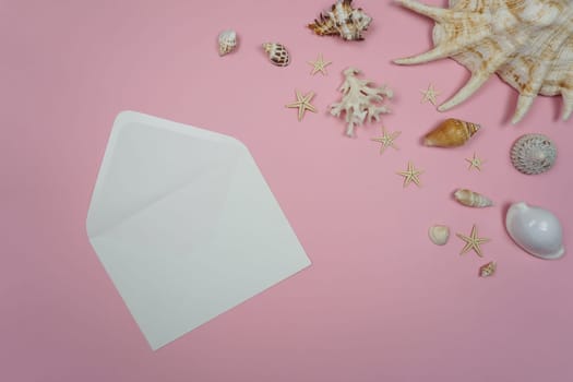 On a pink background there is a white envelope and a variety of shells