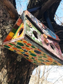 Colorful multi-colored bird feeder on a tree in a city park close-up.