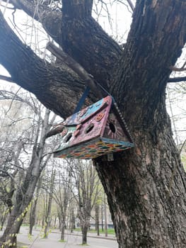 Colorful multi-colored bird feeder on a tree in a city park close-up.