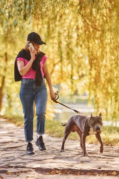 Yellow leaves at background. Woman in casual clothes is with pit bull outdoors.