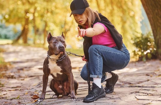 Yellow leaves at background. Woman in casual clothes is with pit bull outdoors.