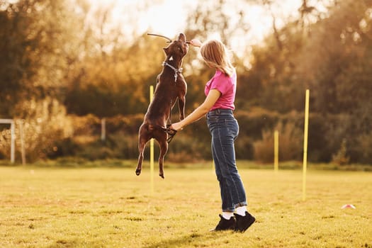 Playing with wooden stick. Woman in casual clothes is with pit bull outdoors.