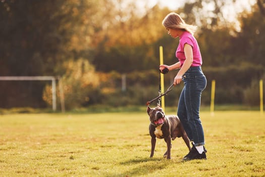 Playing with wooden stick. Woman in casual clothes is with pit bull outdoors.