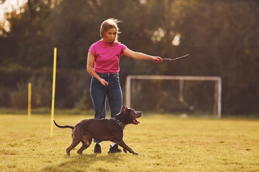 Playing with wooden stick. Woman in casual clothes is with pit bull outdoors.