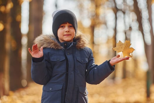 Cheerful young boy having fun and walk in the autumn forest.