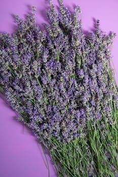 beautiful floral background of fresh lavender flowers with green stems close up, summer time,. High quality photo