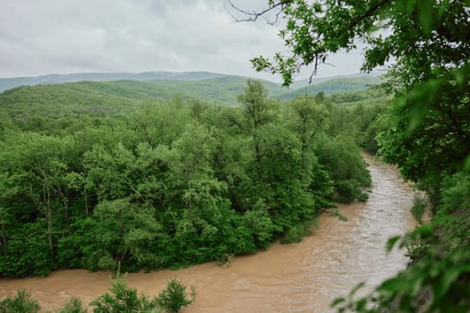 mountain river after rain flows in a forest area. High quality photo