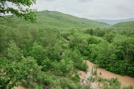 mountain river after rain flows in a forest area. High quality photo