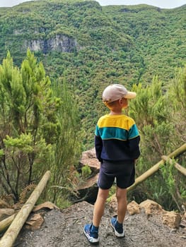 Boy stands with his back against background of the greenery mountain. Walk along the livadas of island of Madeira. Child loves nature. Primordial landscape