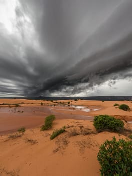 Eerie and isolated landscape of Jalapao dunes with dark storm clouds brewing overhead during the rainy season.