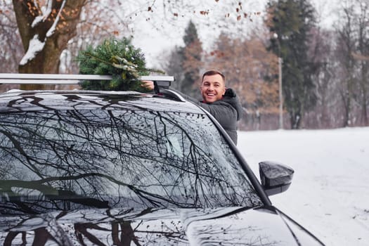 Preparing for the weekend. Man with little green fir is outdoors near his car. Conception of holidays.