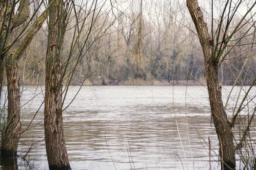 The river in spring time is in the background. High quality photo